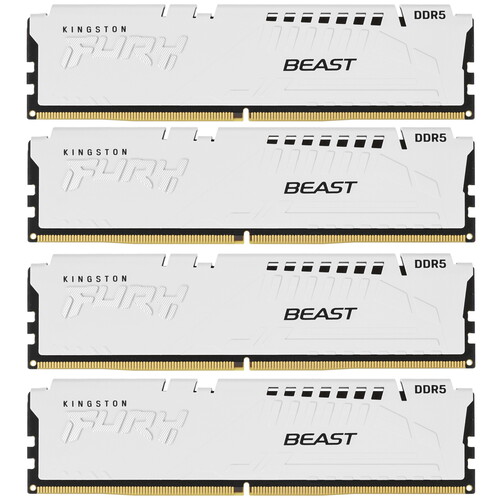 Купить Оперативная память Kingston FURY Beast White [KF560C40BWK4-64] 64 ГБ в интернет-магазине DNS. Характеристики, цена Kingston FURY Beast White | 5436436.