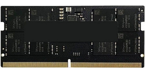 Купить Оперативная память SODIMM AMD Radeon R5 Entertainment Series [R5516G5600S1S-U] 16 ГБ в интернет-магазине DNS. Характеристики, цена AMD Radeon R5 Entertainment Series | 9346637.
