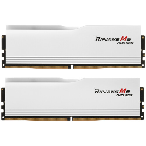 Купить Оперативная память G.Skill RIPJAWS M5 NEO [F5-6000J3036F48GX2-RM5NRW] 96 ГБ в интернет-магазине DNS. Характеристики, цена G.Skill RIPJAWS M5 NEO | 5616358.
