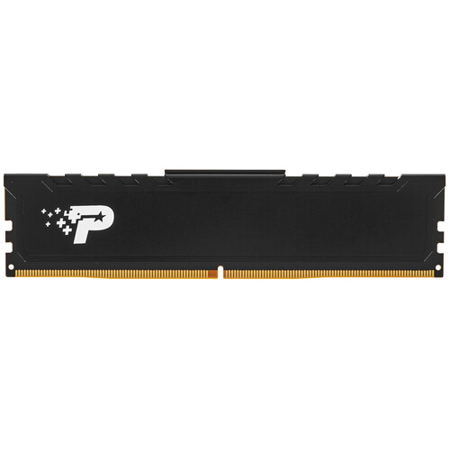 Купить Оперативная память Patriot Signature Line Premium [PSP58G480041H1] 8 ГБ в интернет-магазине DNS. Характеристики, цена Patriot Signature Line Premium | 5459039.