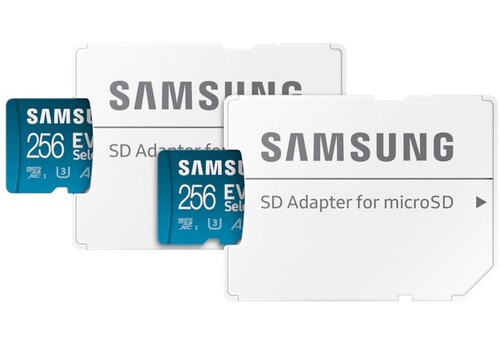 Купить Карта памяти Samsung EVO Select microSDXC 256 ГБ [BNDL-1641505948512] в интернет-магазине DNS. Характеристики, цена  | 9281763.
