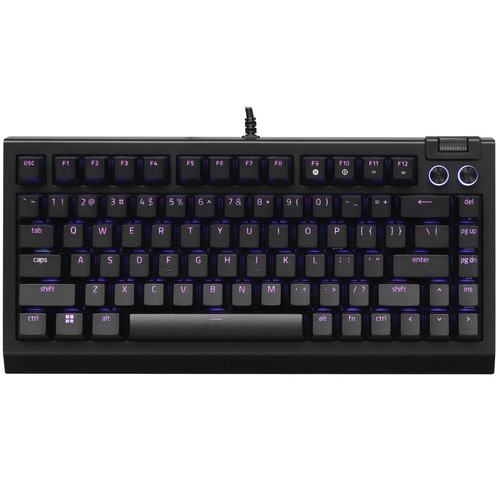 Купить Клавиатура  проводная Razer BlackWidow V4 75% цвет черный в интернет-магазине DNS. Характеристики, цена Razer BlackWidow V4 75% | 5466240.
