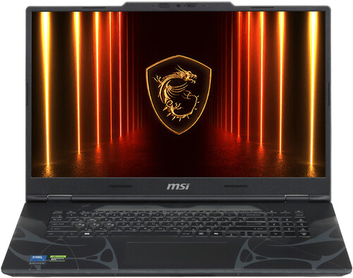 Купить 17.3" Ноутбук MSI Cyborg 17 B2RWFKG-035XRU черный в интернет-магазине DNS. Характеристики, цена MSI Cyborg 17 B2RWFKG-035XRU | 5629069.