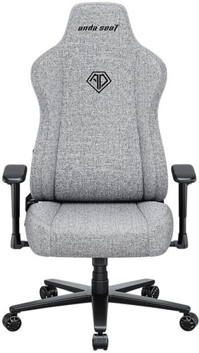 Купить Компьютерное кресло AndaSeat Novis серый в интернет-магазине DNS. Характеристики, цена AndaSeat Novis | 9324136.
