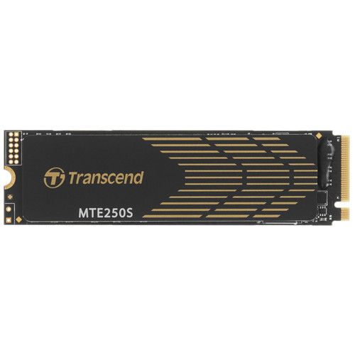 Купить 2000 ГБ M.2 NVMe накопитель Transcend MTE250S [TS2TMTE250S] в интернет-магазине DNS. Характеристики, цена Transcend MTE250S | 5455438.