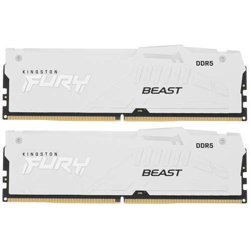 Купить Оперативная память Kingston FURY Beast White RGB [KF560C30BWEAK2-64] 64 ГБ в интернет-магазине DNS. Характеристики, цена Kingston FURY Beast White RGB | 5617449.