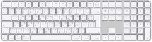 Купить Клавиатура  беспроводная Apple Magic Keyboard в интернет-магазине DNS. Характеристики, цена Apple Magic Keyboard | 5603281.