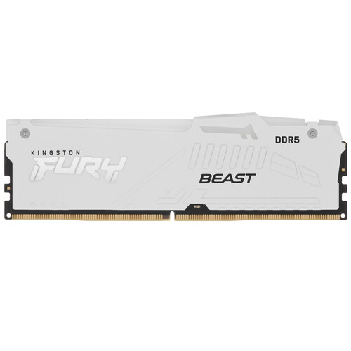 Купить Оперативная память Kingston FURY Beast White RGB [KF560C30BWEA-16] 16 ГБ в интернет-магазине DNS. Характеристики, цена Kingston FURY Beast White RGB | 5617447.
