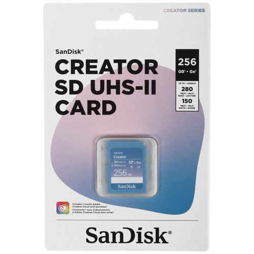 Купить Карта памяти Sandisk Creator SDXC 256 ГБ [SDSDXEP-256G-GNCIS] в интернет-магазине DNS. Характеристики, цена  | 5635961.
