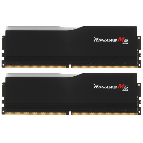 Купить Оперативная память G.Skill Ripjaws M5 RGB [F5-6400J3239G32GX2-RM5RK] 64 ГБ в интернет-магазине DNS. Характеристики, цена G.Skill Ripjaws M5 RGB | 9146465.
