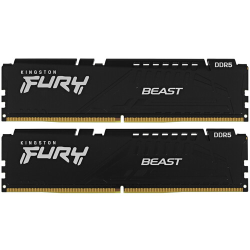 Купить Оперативная память Kingston FURY Beast Black [KF552C40BBK2-16] 16 ГБ в интернет-магазине DNS. Характеристики, цена Kingston FURY Beast Black | 5053666.