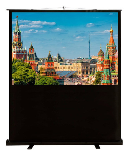 Купить 81" Экран для проектора Cactus FloorCompactExpert CS-PSFLCE-180X102 в интернет-магазине DNS. Характеристики, цена Cactus FloorCompactExpert CS-PSFLCE-180X102 | 1318824.