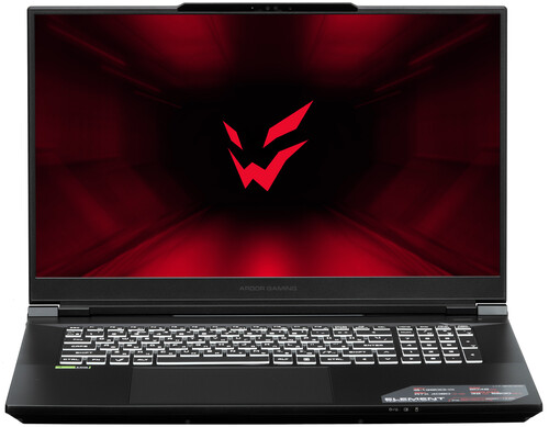 Купить 17.3" Ноутбук ARDOR Gaming ELEMENT L17-I9ND400 черный в интернет-магазине DNS. Характеристики, цена ARDOR Gaming ELEMENT L17-I9ND400 | 9083819.