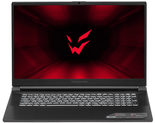 Купить 17.3" Ноутбук ARDOR Gaming EVO E17-I7ND402 черный в интернет-магазине DNS. Характеристики, цена ARDOR Gaming EVO E17-I7ND402 | 9083821.