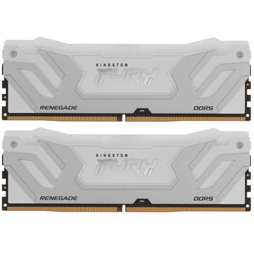 Купить Оперативная память Kingston Fury Renegade White RGB [KF588CU42RWAK2-48] 48 ГБ в интернет-магазине DNS. Характеристики, цена Kingston Fury Renegade White RGB | 5629417.