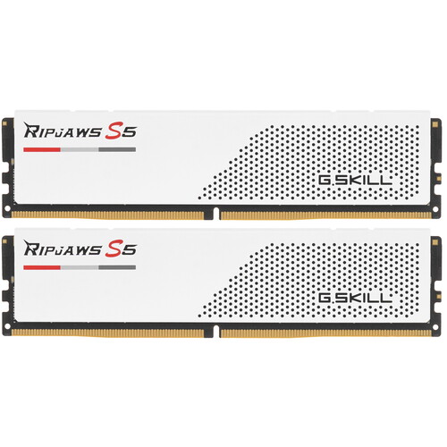 Купить Оперативная память G.Skill Ripjaws S5 [F5-6000J3036F48GX2-RS5K] 96 ГБ в интернет-магазине DNS. Характеристики, цена G.Skill Ripjaws S5 | 5616252.