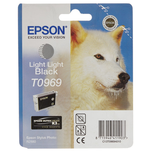 Купить Картридж Epson T0969 светло-серый в интернет-магазине DNS. Характеристики, цена Epson T0969 | 7932552.