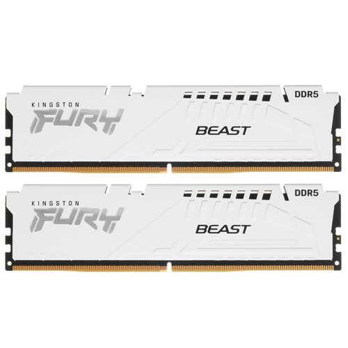 Купить Оперативная память Kingston FURY Beast White AMD [KF560C36BWEK2-64] 64 ГБ в интернет-магазине DNS. Характеристики, цена Kingston FURY Beast White AMD | 5406611.