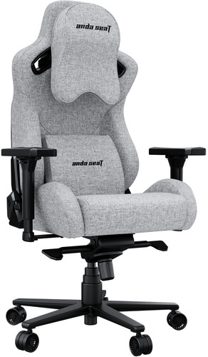 Купить Компьютерное кресло AndaSeat Kaiser 2 Pro серый в интернет-магазине DNS. Характеристики, цена AndaSeat Kaiser 2 Pro | 9324127.