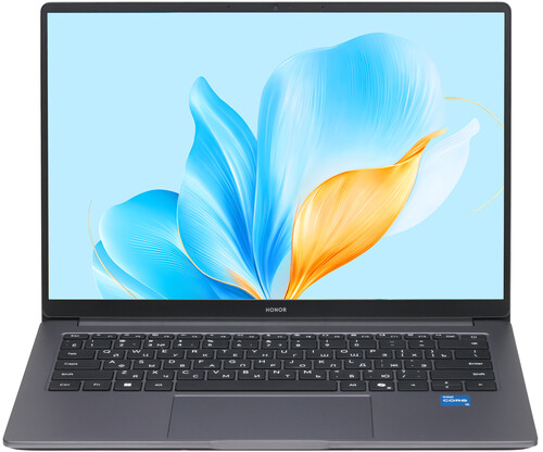 Купить 14" Ноутбук HONOR MagicBook X14 2025 5301ALXL/FRG-X серый в интернет-магазине DNS. Характеристики, цена HONOR MagicBook X14 2025 5301ALXL/FRG-X | 5608552.