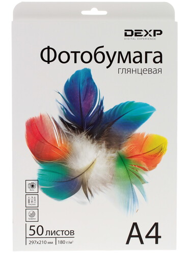 Купить Фотобумага DEXP Glossy 0805556 в интернет-магазине DNS. Характеристики, цена DEXP Glossy 0805556 | 1011027.
