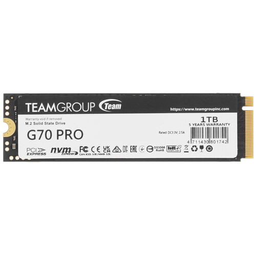 Купить 1000 ГБ M.2 NVMe накопитель TEAMGROUP T-FORCE G70 Pro [TM8FFH001T0C128] в интернет-магазине DNS. Характеристики, цена TEAMGROUP T-FORCE G70 Pro | 5457022.