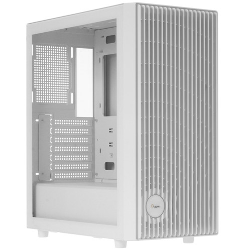 Купить Корпус Ocypus Gamma C70  белый в интернет-магазине DNS. Характеристики, цена Ocypus Gamma C70 | 5631536.