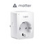 Умная розетка TP-Link Tapo P110M [наружная, 3.68 кВт, 16 А, 100 - 240 В, Matter, Wi-Fi, TP-Link Tapo, мониторинг энергопотребления, белый]