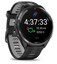Спортивные часы Garmin Forerunner 965 [корпус - черный, ремешок - черный, 1.4", AMOLED, 454x454, ANT+, Bluetooth, NFC, Wi-Fi, для Android, iOS]