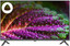 32" (81 см) Телевизор DEXP H32G8000C серый [Direct LED, HD, Wi-Fi, 60 Гц, YaOS, HDMI х 2, USB х 1 шт]