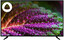43" (108 см) Телевизор DEXP U43H8000E черный [Direct LED, 4K UltraHD, Wi-Fi, 60 Гц, YaOS, HDMI х 3, USB х 2 шт]