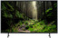 43" (108 см) Телевизор Sony KD-43X75WL черный [Direct LED, Triluminos, 4K UltraHD, Wi-Fi, 60 Гц, Android TV, HDMI х 4, USB х 2 шт]