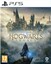 Игра Hogwarts Legacy (PS5) [12+, ролевая, ролевая с открытым миром, экшн, дата выхода: 10.02.2023, язык озвучки: английский, стандартное издание]