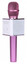 Микрофон SoundWave Q9 розовый [беспроводной, караоке с колонкой, 115 дБ, от 30 Гц до 20000 Гц, micro USB, USB Type-A]