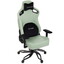 Компьютерное кресло ARDOR GAMING Battle Glade 1000R RB-001 зеленый [экокожа, до 180 кг, подголовник, подлокотники - 4D]