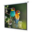 97" Экран для проектора Lumien Eco Picture LEP-100108 [1:1, 174x174 см, настенный, потолочный, Matte White]