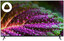 50" (127 см) Телевизор DEXP 50UCY1 черный [Direct LED, 4K UltraHD, Wi-Fi, 60 Гц, YaOS, HDMI х 3, USB х 2 шт]