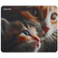 Коврик DEXP Kitten OM-XS (XS) разноцветный [полиэстер, 220 мм x 180 мм x 3 мм, рисунок - животные]