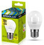 Лампа светодиодная Ergolux LED-G45-7W-E27-3K [E27, 7 Вт, 560 лм, 3000 K, 172-265 В / 50 Гц]