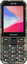 Сотовый телефон Xenium X300 зеленый [связь 2G, 2 SIM, экран 2.8", TN (TFT), 320x240, камера 0.3 Мп, Bluetooth, 3000 мА*ч, фонарик, ЗУ]