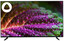 55" (139 см) Телевизор DEXP U55H8050E черный [Direct LED, 4K UltraHD, Wi-Fi, 60 Гц, YaOS, HDMI х 3, USB х 2 шт]