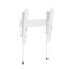 Кронштейн для ТВ DEXP Mount LI55-35 белый [для 32"-55",  наклон вниз 12°, до 35 кг, до 30 мм от стены/потолка]