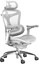 Компьютерное кресло Sihoo C300-B102-JT серый [сетка, до 100 кг, подголовник, подлокотники - 6D]