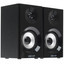 Колонки DEXP R350 черный [формат акустики - 2.0, мощность - 12 Вт, jack 3.5 мм, питание - от сети]