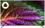 65" (165 см) Телевизор Qwatt Q65YK-MB черный [Direct LED, 4K UltraHD, Wi-Fi, 60 Гц, YaOS, HDMI х 3, USB х 2 шт]