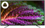 39" (99 см) Телевизор DEXP H39F8000Q черный [Direct LED, HD, Wi-Fi, 60 Гц, YaOS, HDMI х 3, USB х 2 шт]