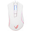 Мышь проводная ARDOR GAMING Fury V2 [ARD-FRV2-3327-WT] белый [12400 dpi, светодиодный, USB Type-A, кнопки - 7]