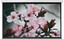 162" Экран для проектора Digis Electra-F DSEF-16908 [16:9, 360x200 см, настенный, потолочный, электропривод, пульт ДУ, Matte White]