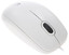 Мышь проводная Logitech B100 [910-003360] белый [1000 dpi, светодиодный, USB Type-A, кнопки - 3]