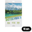 Самоклеящаяся бумага Aceline Gloss [0807783] [A4, 115 г/м², 50 л., покрытие - глянцевое, 5760 dpi, в комплекте: 16 шт]